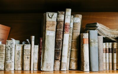 Preparing My PhD Proposal: A Journey into AI and Organisational Culture