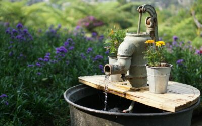 The Pump Primer: Keeping Relationships Flowing